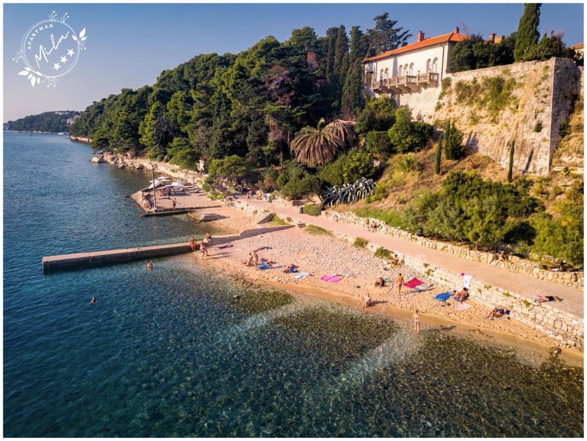 Apartman Mila Barbat na Rabu Buitenkant foto